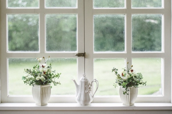 Window